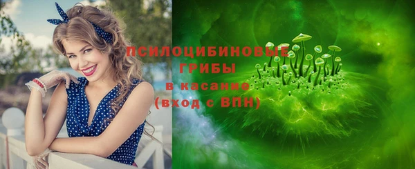 прущие грибы Абинск